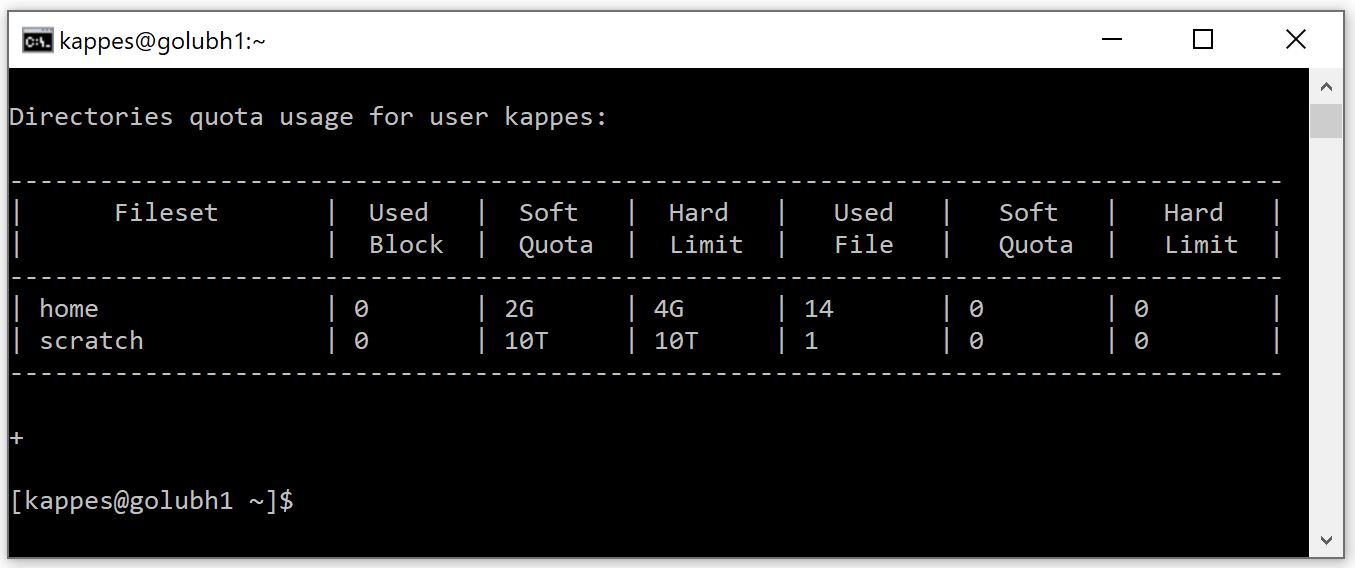 terminal window running a login shell