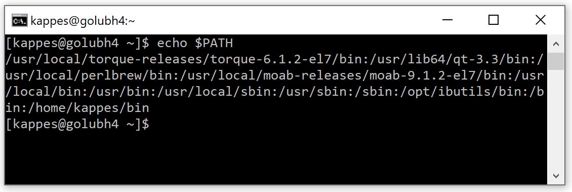output from echo $path command