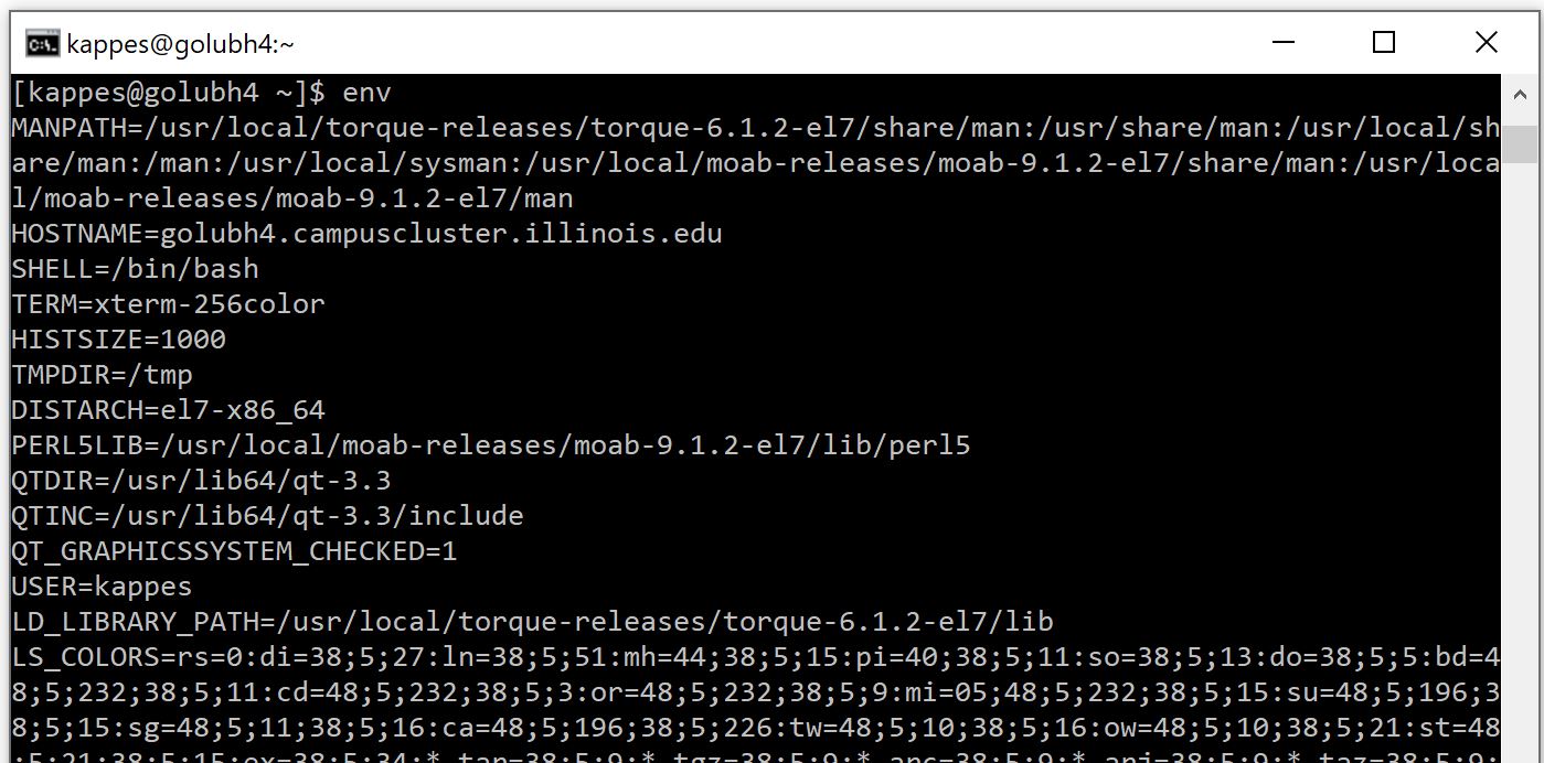 Output from env command