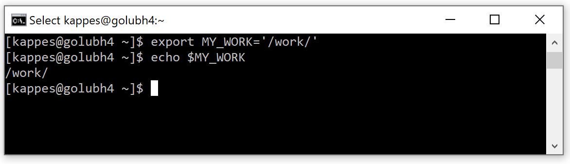 Using export command to define a variable named MY_WORK