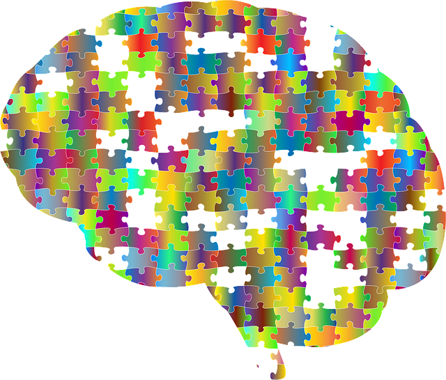 brain depicted as a puzzle