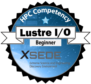 Lustre I/O Beginner Badge image